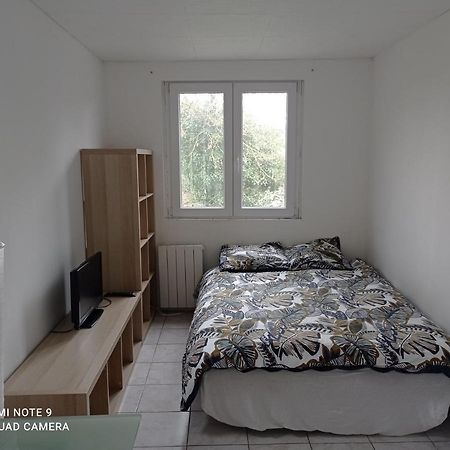 Studio Efficace, Calme Et Comfortable Apartment Albi Ngoại thất bức ảnh